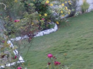 Havendale, Kingston / St. Andrew, Jamaica - Flat for Lease/rental